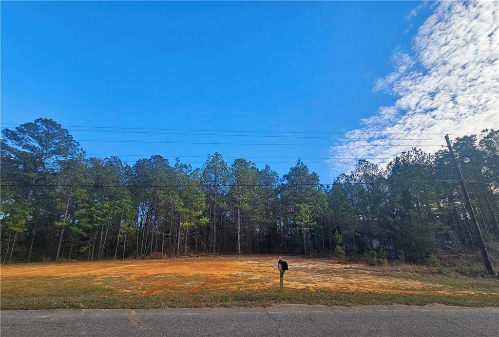 500 Owassa RD, Evergreen, AL 36401