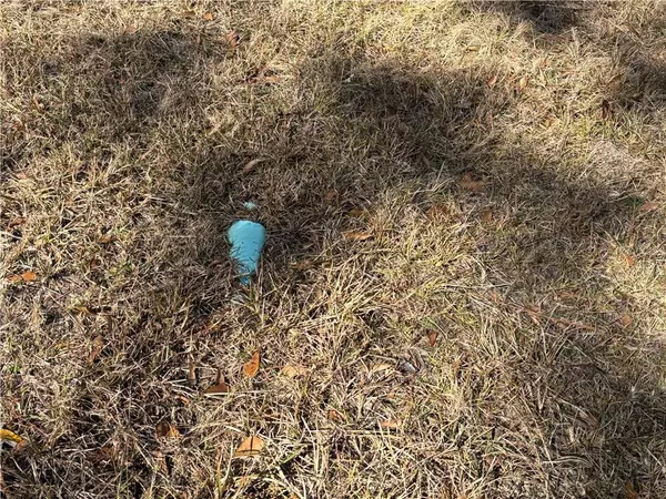 Tibbie, AL 36583,0 Shine Johnston RD