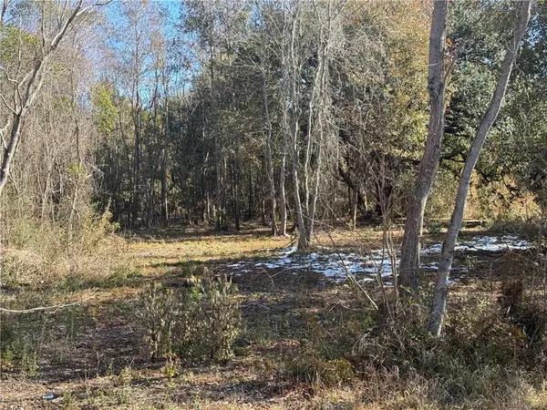 Irvington, AL 36544,0 Beverly RD
