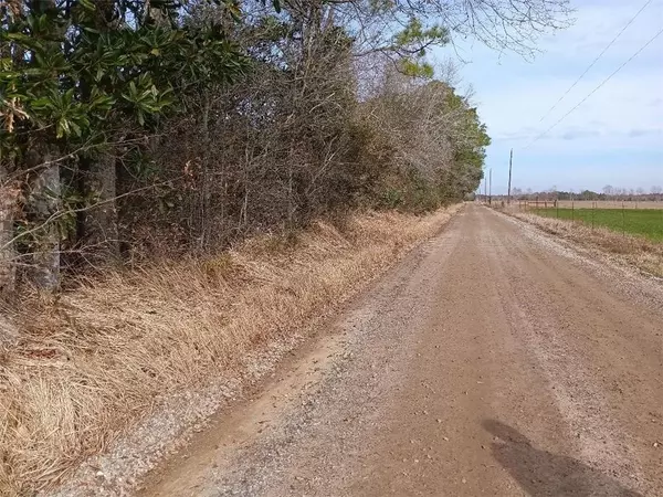 Grand Bay, AL 36541,0 Wheatcroft RD S
