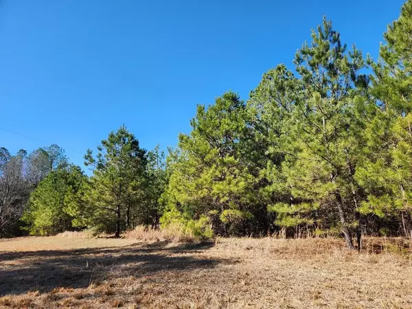 Grove Hill, AL 36451,1572 Rabbit Creek RD