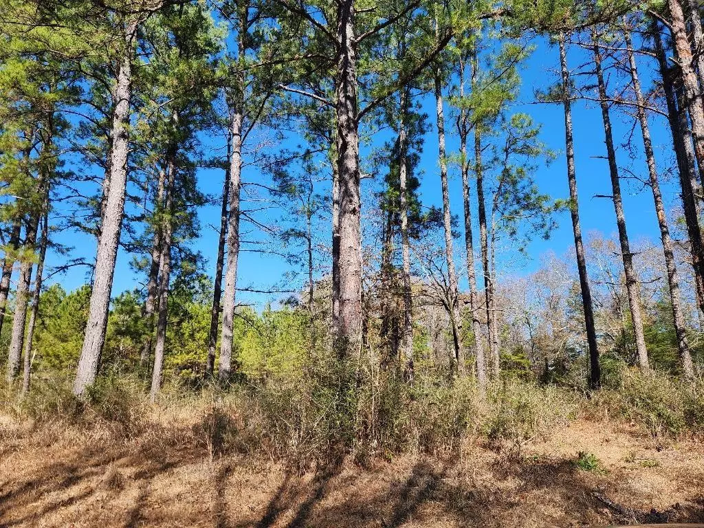 Grove Hill, AL 36451,1572 Rabbit Creek RD