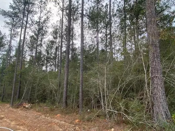 Chunchula, AL 36521,0 Paperwood RD