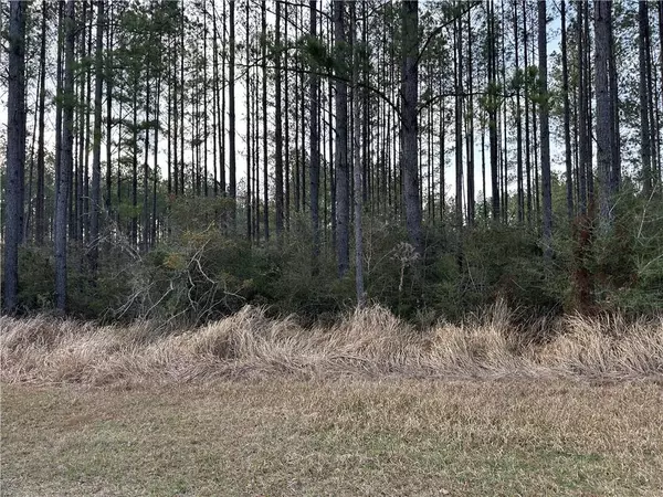 Chunchula, AL 36521,0 Turnerville Farms DR