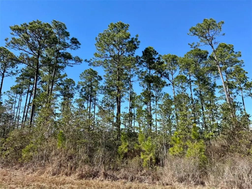 Bay Minette, AL 36507,0 Robert White RD
