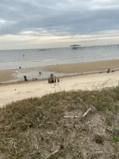 Coden, AL 36523,15375 Dauphin Island Pkwy