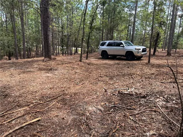 Bay Minette, AL 36507,0 State Highway 225
