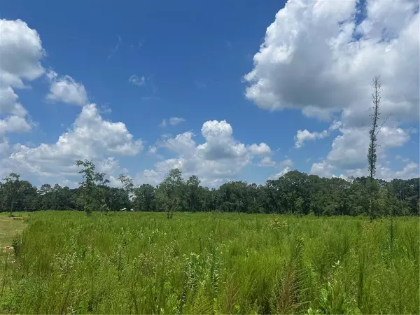 0 Creel RD, Theodore, AL 36582