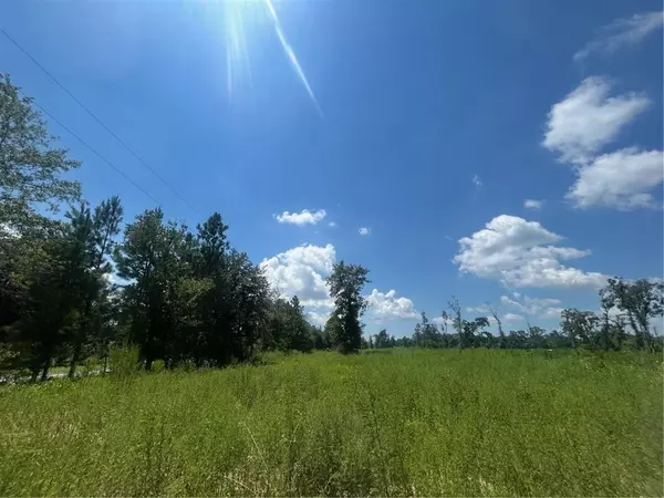 Theodore, AL 36582,0 Creel RD