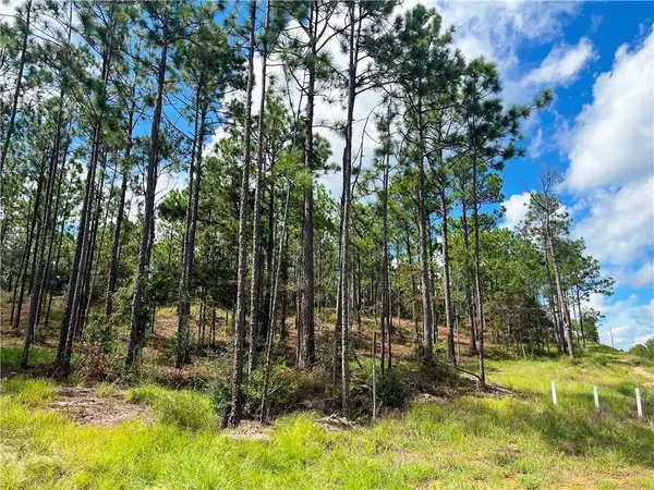 0 State Highway 225, Bay Minette, AL 36507
