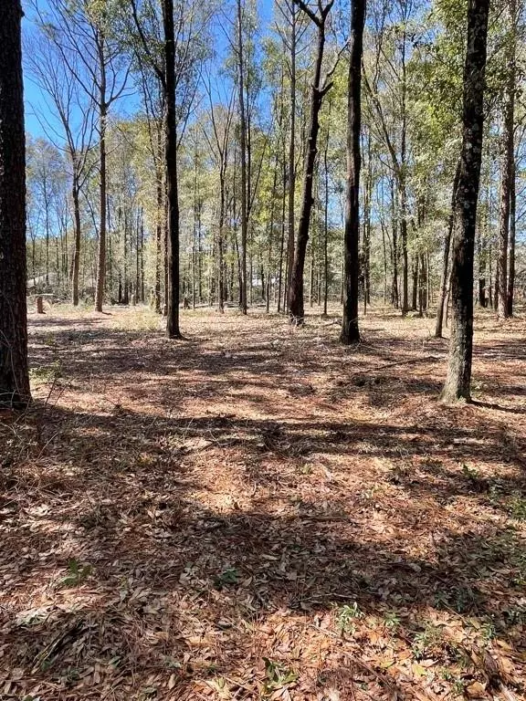 Saraland, AL 36571,7515 Lambeth DR
