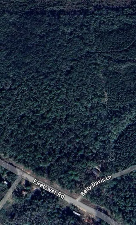 Mcintosh, AL 36553,0 Firetower RD