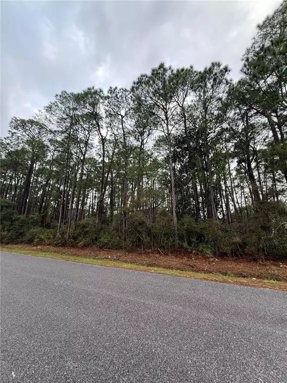 Dauphin Island, AL 36528,119 Dewberry ST