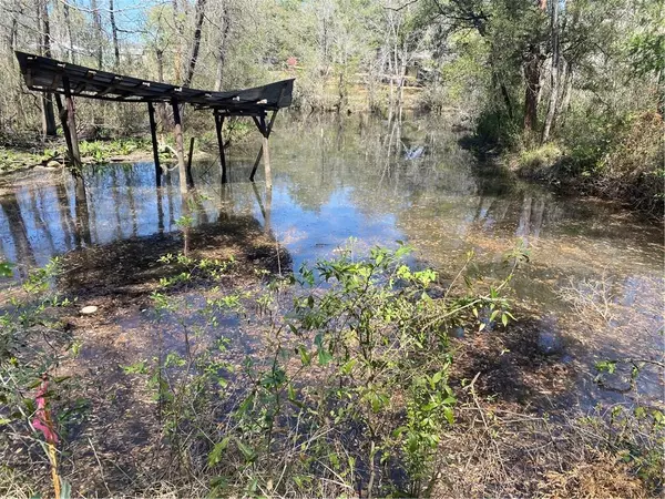 Satsuma, AL 36572,211 Magnolia AVE