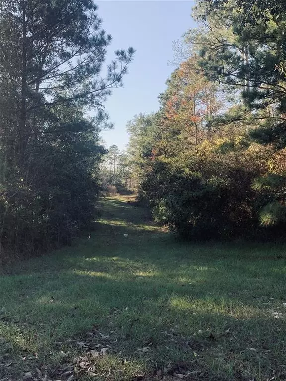 Citronelle, AL 36522,19901 Robert Walker RD