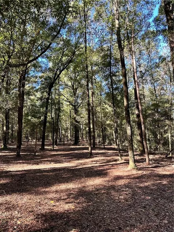 Citronelle, AL 36522,2 Sugar Ridge ST S