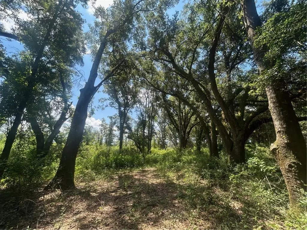 Theodore, AL 36582,0 Creel RD