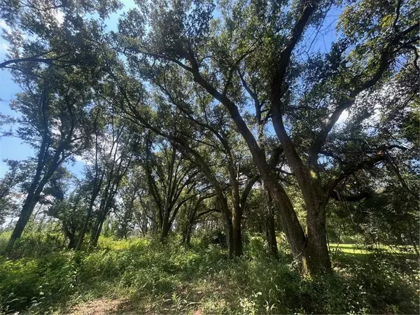 Theodore, AL 36582,0 Creel RD