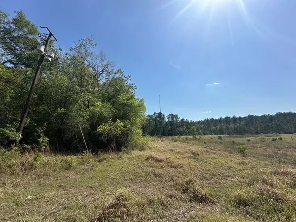 Satsuma, AL 36525,0 I-65 Service RD