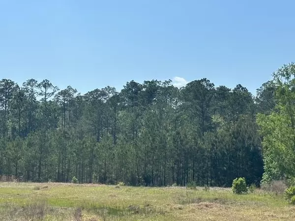 Satsuma, AL 36525,0 I-65 Service RD