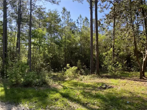 12520 Old Cedar Point RD, Coden, AL 36523