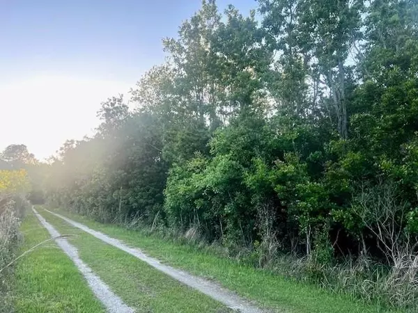 0 Bellingrath RD, Theodore, AL 36582