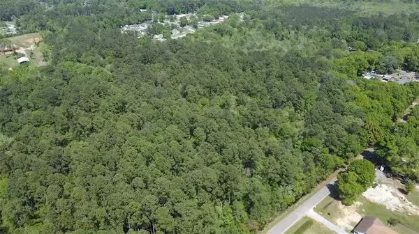 Satsuma, AL 36572,0 Willie Crook AVE
