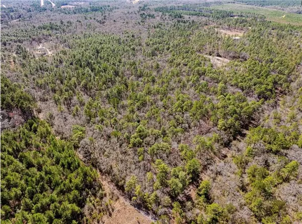 Satsuma, AL 36572,0 Grimsley RD