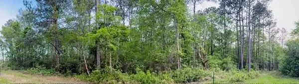 Satsuma, AL 36572,0 Grimsley RD