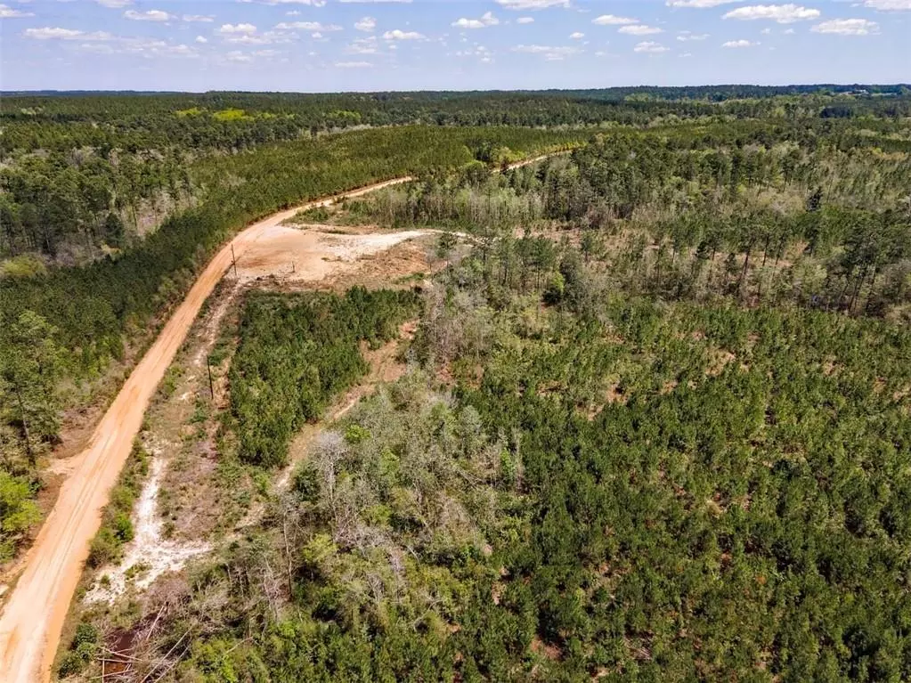Millry, AL 36558,1515 Antioch Church RD