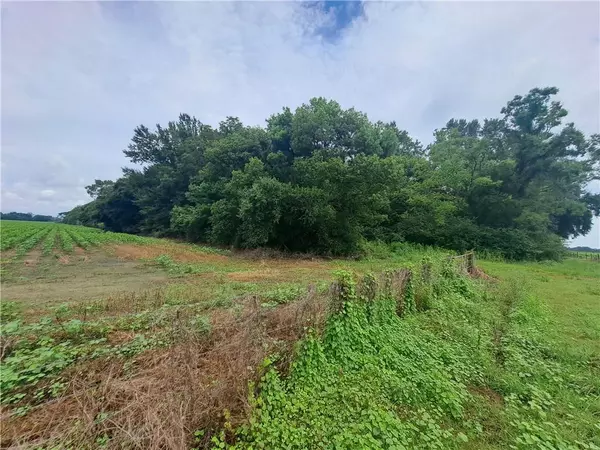 Grand Bay, AL 36541,12245 Henderson Camp RD