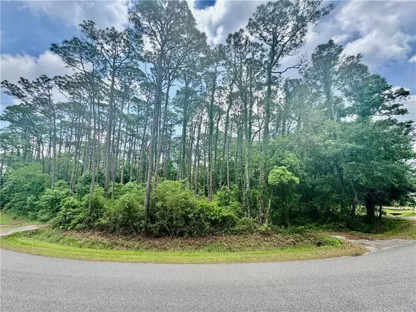 1205 Alabama AVE, Dauphin Island, AL 36528