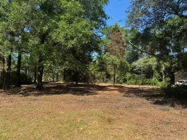 Chunchula, AL 36521,10765 Georgetown Hills CT