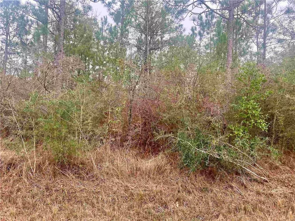 Chunchula, AL 36521,0 John Shinn RD