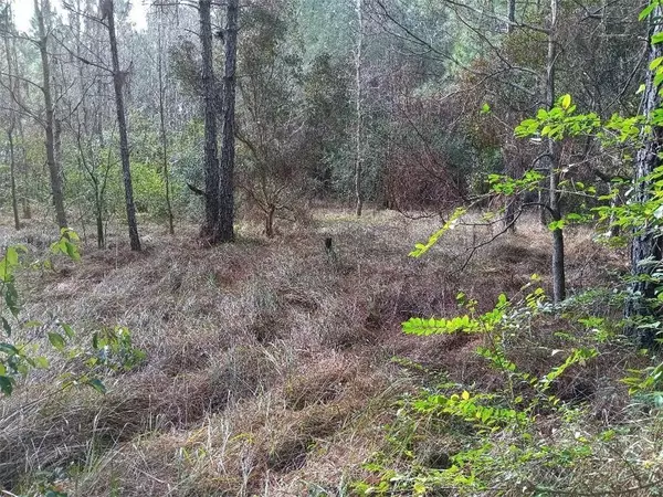 Grand Bay, AL 36541,0 Wheatcroft RD E