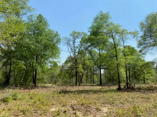 0 Hampton RD, Mobile, AL 36608