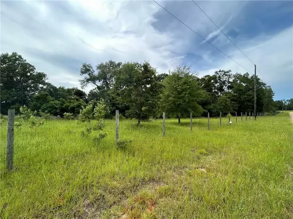 Citronelle, AL 36522,0 Hunters TRL