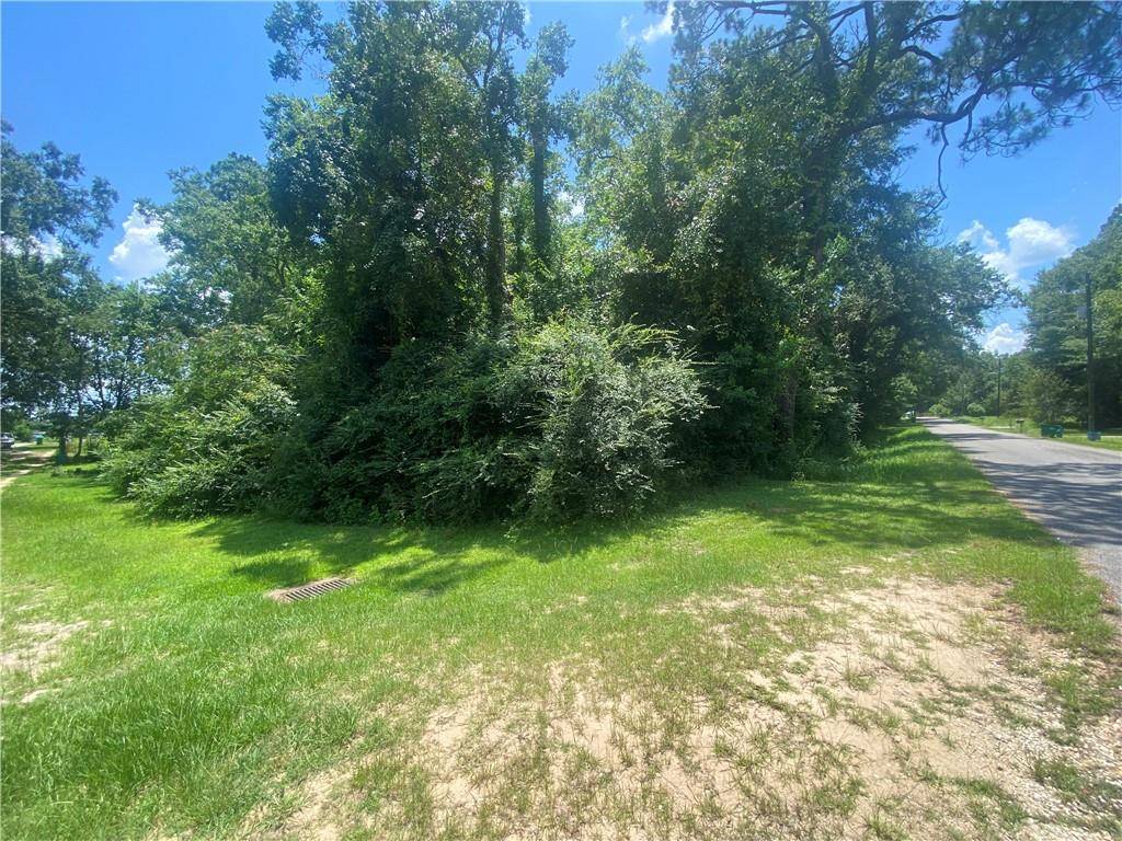 Saraland, AL 36525,0 Joaneen DR