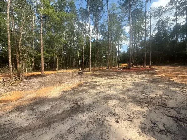 Chunchula, AL 36521,8231 Evans RD