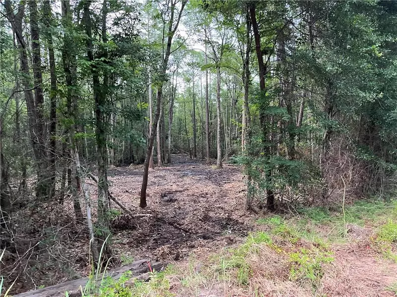 00 Fowl River RD, Theodore, AL 36582
