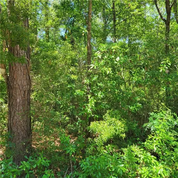 0 Lalander RD, Theodore, AL 36582