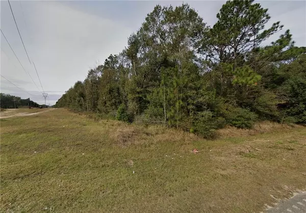 Irvington, AL 36544,11001 Hogue RD