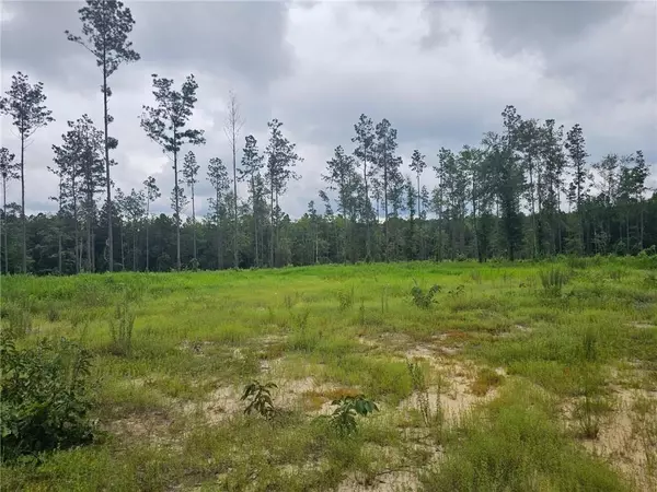 23799 Lonnie Hadley RD, Perdido, AL 36562