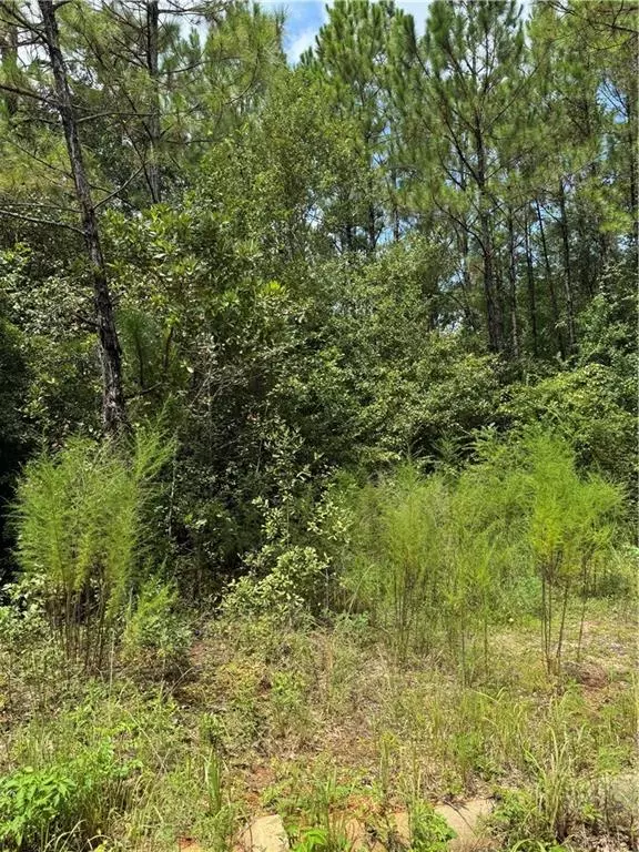 Irvington, AL 36544,9980 Taylor AVE S