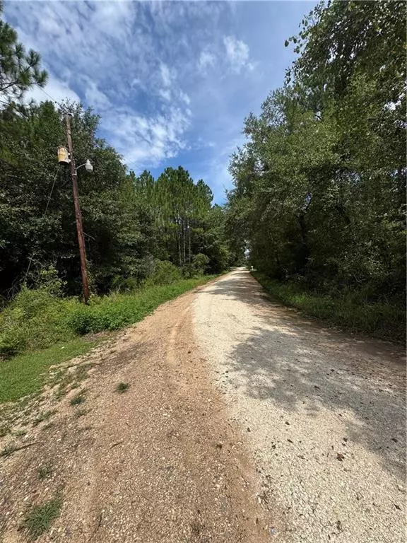 Irvington, AL 36544,9980 Taylor AVE S