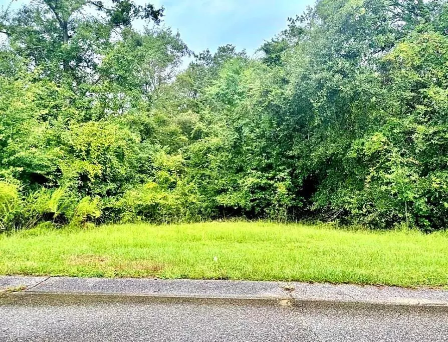 Saraland, AL 36571,615 Saraland Avenue EXT