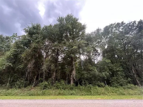 Wilmer, AL 36587,0 Danner RD