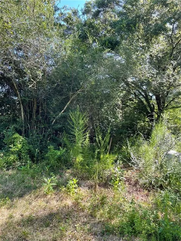 Robertsdale, AL 36567,20150 County Road 87