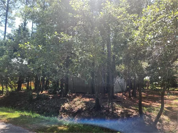 Dauphin Island, AL 36528,507 Conde AVE