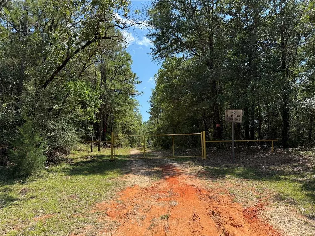 Citronelle, AL 36522,7355 Irwin ST